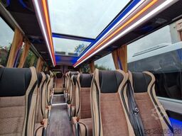 MERCEDES-BENZ 519 und 517 Glasdach XXL  20 Sitze Stock