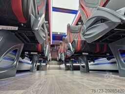 MERCEDES-BENZ 519 und 517 Glasdach XXL  20 Sitze Stock