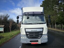 DAF LF 290 EURO 6 TAULINER 19T