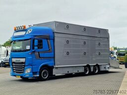 DAF XF 510 6x2 SuperSpaceCab - Livestock Cuppers 3 ...