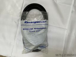 Kannegiesser Dichtung