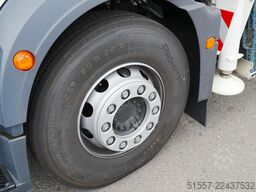 Palfinger P 480 | 2026