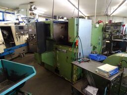 Index GE 65