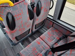 MERCEDES-BENZ 30 Sitzer Schul- Transferbus 519 Vorlauffahrzeug