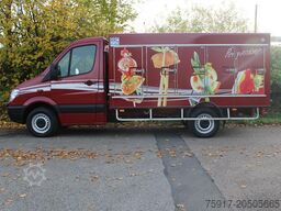 MERCEDES-BENZ Sprinter 310  Cold Car -33°C