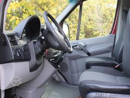 MERCEDES-BENZ Sprinter 310  Cold Car -33°C