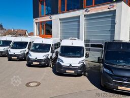 FIAT 3x Ducato 2x Opel Movano 18 SS in Stock