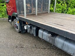 DAF LF 45.160 Go8