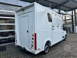 Renault Master 1-2 Pferde Bloomfields