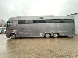 MERCEDES-BENZ Actros 2651 STX  Pop-Out,  5 Pferde