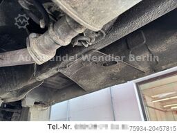 FIAT Ducato 230L 4x4 Dangel Diff 4 Sitzer orig. 20tkm