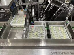 Shanghai catcalw trading company MzCBP01