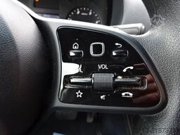 MERCEDES-BENZ Sprinter III Kasten RWD 317 9G-Tronic Lang AHK