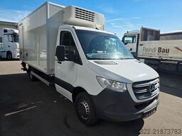 MERCEDES-BENZ Sprinter 516 / Frigo / Thermo King Cool/Wenig Km