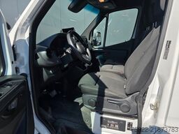 MERCEDES-BENZ Sprinter 516 / Frigo / Thermo King Cool/Wenig Km