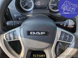 DAF XF 480
