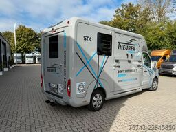 RENAULT Master STX 3 Sitzer  Haras / Hengste