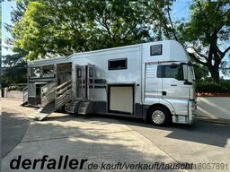 MAN TGX 26400 Gimmel 5-6 Pferde + Kiste, Popout