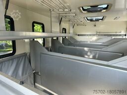 MAN TGX 26400 Gimmel 5-6 Pferde + Kiste, Popout