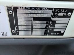 DAF LF 170 Gardine, wie neu, nur 82 TKM Original !