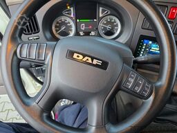 DAF LF 170 Gardine, wie neu, nur 82 TKM Original !