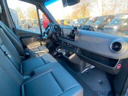 MERCEDES-BENZ STX Sprinter  3.500KG  Haras Hengste