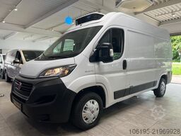 FIAT Ducato Kühlwagen Carrier - 20C.*Garantie*