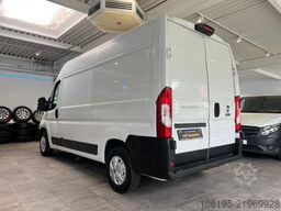 FIAT Ducato Kühlwagen Carrier - 20C.*Garantie*