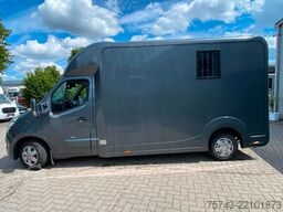 RENAULT Master STX 3 Sitzer  Automatik Haras / Hengste