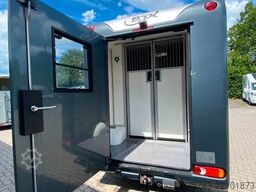 RENAULT Master STX 3 Sitzer  Automatik Haras / Hengste