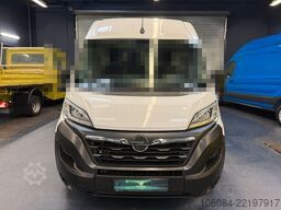 OPEL Movano Kasten L2H2 Klima Tempomat R-CAM NAVI AHK