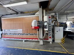 Striebig Control Version 18 5216