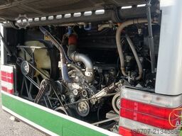 VAN HOOL T916 Acron 59 Sitze  KM Orginal