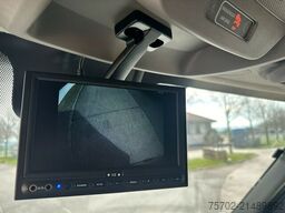 Renault Master Haras 1-2 Pferde