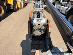 Locostréa Locostréa Locostréa