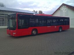 MAN 20 Stück  A 20, EURO 5, KLIMA,  ID.-Nr.: 1851