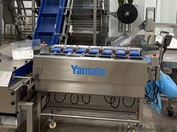 Yamato TSDW-206W