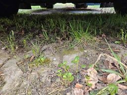 H&W 460 Hi Way, Retarder, Kühlschrank