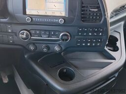 FORD F-MAX 500