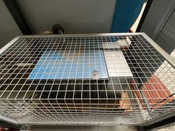 Homag BAZ 211 Venture 21L