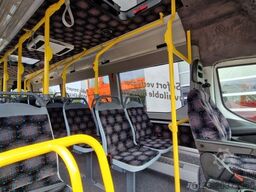 IVECO Daily Heckniederflur Elektro City Stock