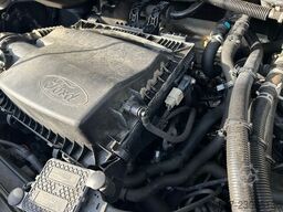 FORD Transit / Trage + Liege + Rampe
