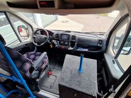 FIAT Frontniederflur Ducato Movano Boxer Sprinter