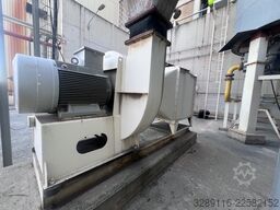 BERTRAMS HT594