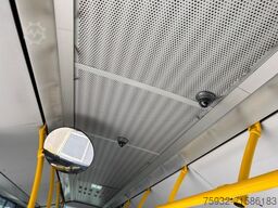 MERCEDES-BENZ Citaro O 530 KLIMA  260 KW  Neulack TOP