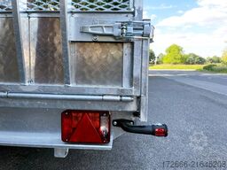 Variant 3543 UX | TRIDEM 420X210X30CM 3500KG UNIVERSALTRANSPORTER