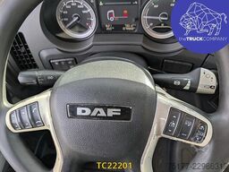 DAF XF 480