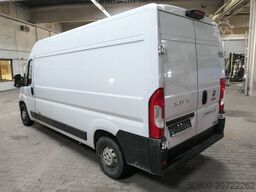 FIAT Ducato 4x2, Wbasto Frigo 4000, 3. Sitz, Klima