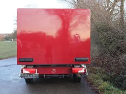 MERCEDES-BENZ Sprinter 310  Euro 6 Cold Car -33°C ATP 09/29