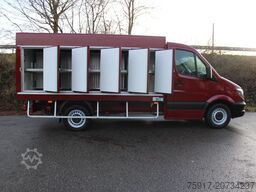 MERCEDES-BENZ Sprinter 310 Euro 6 Cold Car -33°C ATP 09/29